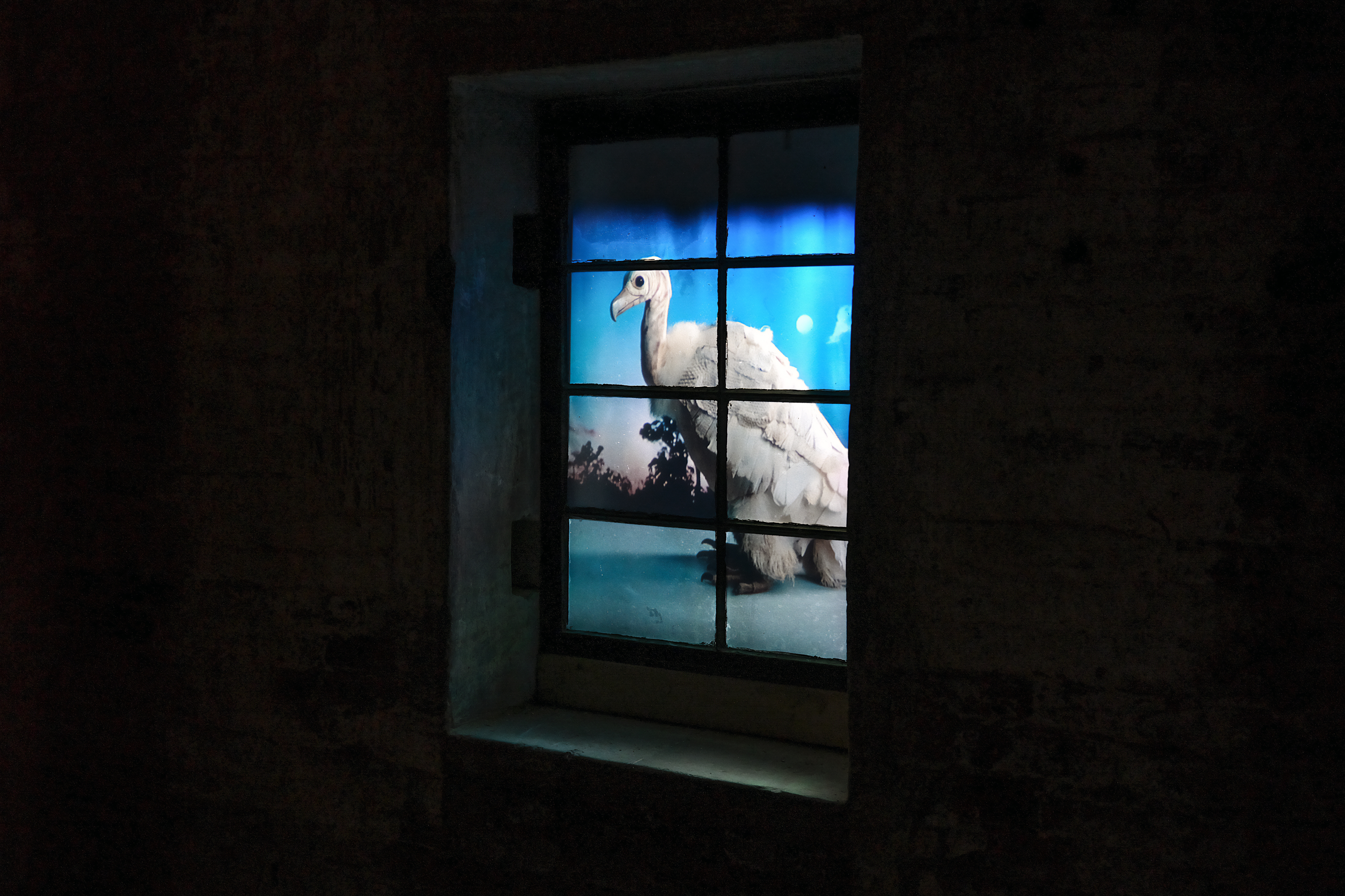 Scenes from Subnature and the Mineral Kingdom