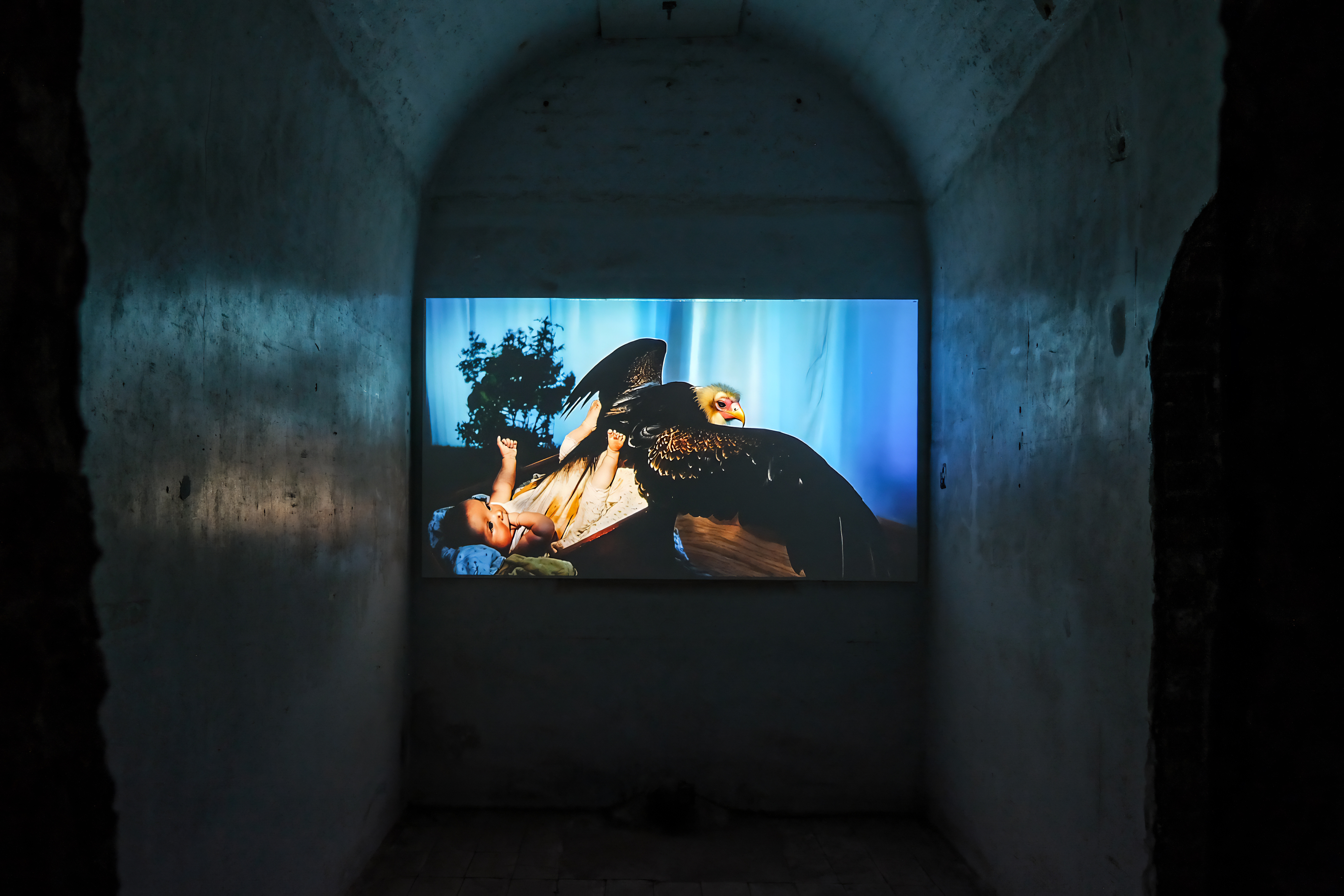 Scenes from Subnature and the Mineral Kingdom